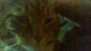 Neon Neon - I Told Her on Alderaan (special guest Mercurio)