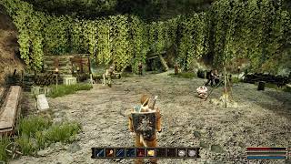 Gothic3 Updating to Newest Version and Converting Old Saves  Ingame Setup Part2