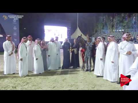 N.24 RAHBAH ATHBAH - SILVER - Yearling Fillies Championship