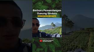 Download lagu BERBURU PEMANDANGAN GUNUNG SINDORO #pegunungan  #puncaktelomoyo  #pegununganindah mp3