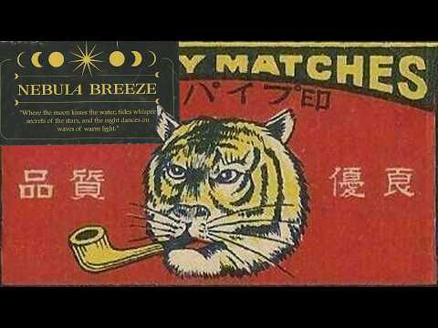 𝙟𝙖𝙯𝙯 𝙛𝙪𝙣𝙠 𝙟𝙪𝙣𝙜𝙡𝙚