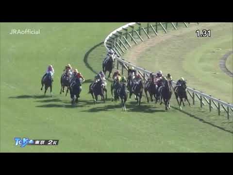 Satono Flag (JPN) wins race 2 at Tokyo 11/16/2019