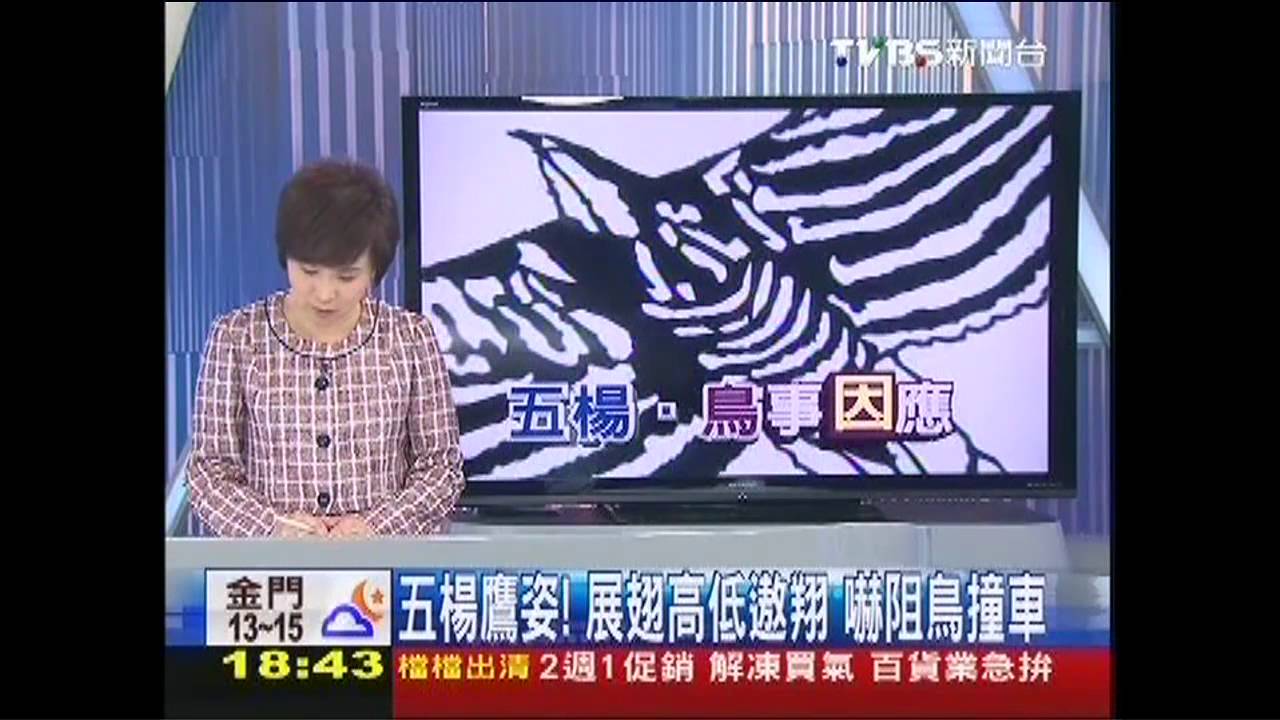 〈獨家〉五楊鷹姿！展翅高低遨翔　嚇阻鳥撞車