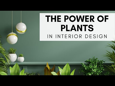 The Power of Plants in Interior Design