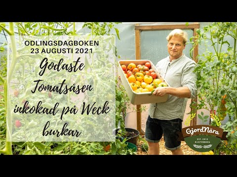 Godaste tomatsåsen inkokad på Weck konserveringsburkar