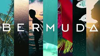 Bermuda x Dapper Lou