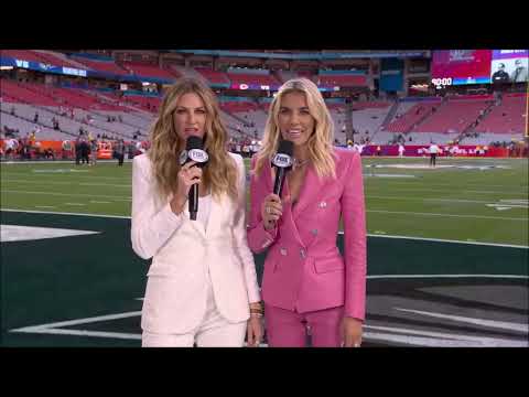 Erin Andrews, Charissa Thompson Furious With Woman's Plane Etiquette