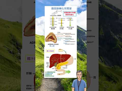 降膽固醇藥物