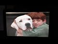 Opening To The Love Bug 2002 DVD Disc 1