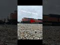A train encounter #train #bnsf #highspeedtrain #metrolink #railway #twisted #passengertrain #editzz