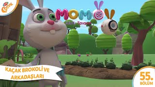 5. Bölüm - KAÇAÇ BROKOLLİ VE ARKADAŞLARI