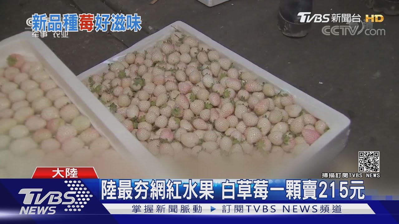 陸最夯網紅水果 白草莓一顆賣215元