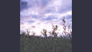 Sativa Music Video