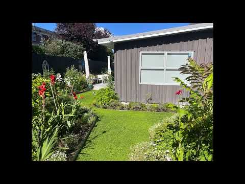 Why Grow A No Mow Lawn?