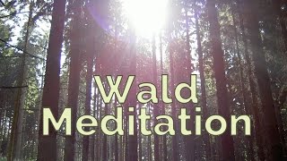 Waldmeditation - Achtsamkeitsmeditation in der Natur
