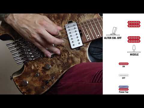 Ibanez QX527PB Quest Series 7-String in Poplar Burl image 11