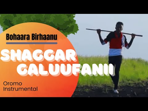Traditional Oromo Instrumentals| Shaggar Galuufanii by Bohaara Birhaanu