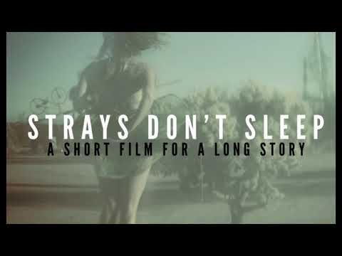 Strays Don't Sleep - A Short Film For A Long Story - full EP (2020)