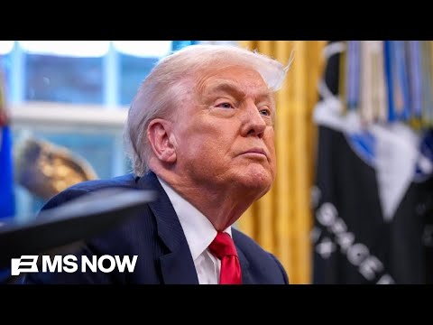 ‘Smash and grab presidency’: Political science professor describes Trump’s lawlessness in power