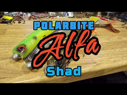 Polarbait 40cm Alfa Shadin rigaus