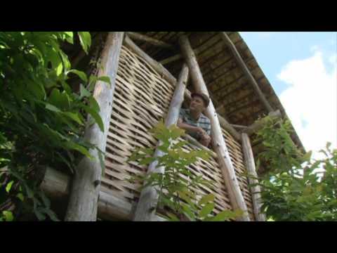 Compost toilet - Building a Timber Frame Home