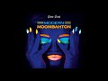 Mix Reggaeton Moombahton 2024 11