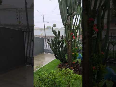 CHUVA FORTE AGORA ROLÂNDIA PR