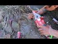 Experiment Coca Cola Vs Mentos Catch Water Snakes Fishes From Underground Hole
