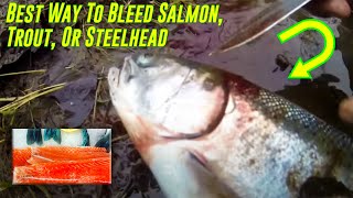 &quot;How-to&quot; | The Best Way to Bleed Out a Salmon or Steelhead
