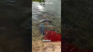 Download lagu mengharukan😭RIBUAN ANAK TOMAN MENJEMPUT INDUKNYA‼️ mp3 Download lagu mengharukan😭RIBUAN ANAK TOMAN MENJEMPUT INDUKNYA‼️ mp3