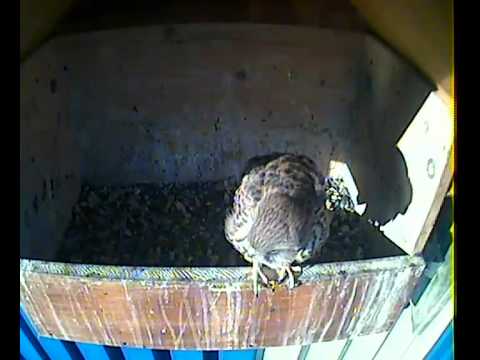 Jetzt bin ich wieder alleine