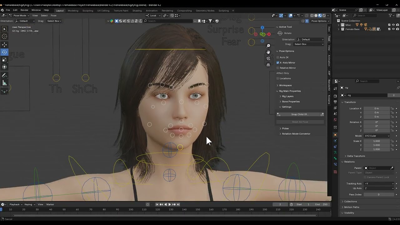 女性基础钻机 3D 模型