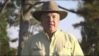 Travel Guide New Mexico tm Living in Angel Fire New Mexico