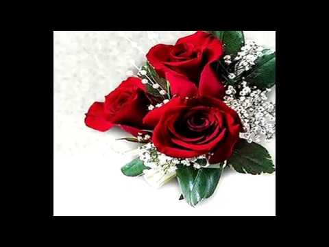 love proposal flower is ROSE teriuma friends