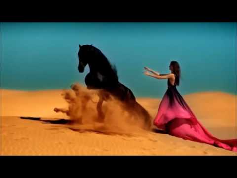 Mflex Sounds - Moments