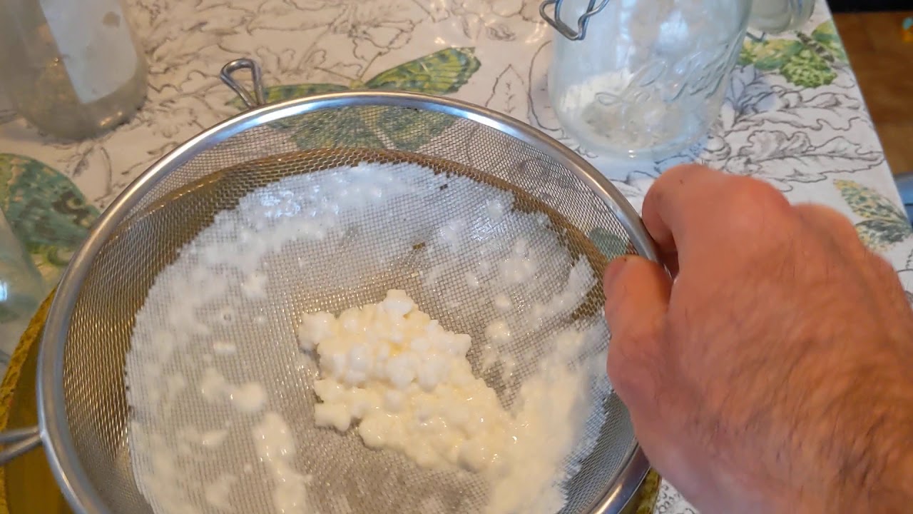 Bases Kéfir de lait