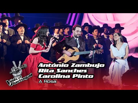 António Zambujo com Carolina Pinto & Rita Sanches - "A Rosa" | The Final | The Voice Portugal