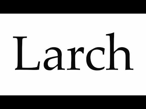 How to Pronounce Larch