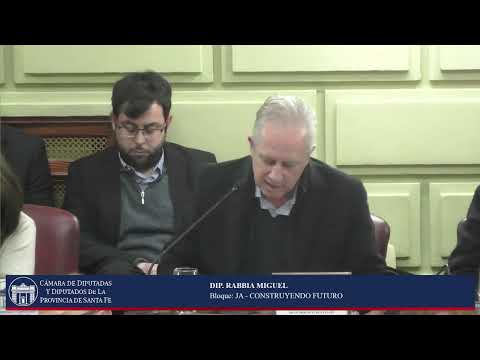 INTERVENCION DIPUTADO RABBIA MIGUEL - SESIÓN ORDINARIA Nº13 -PERIODO ORDINARIO 144º- 13/08/26