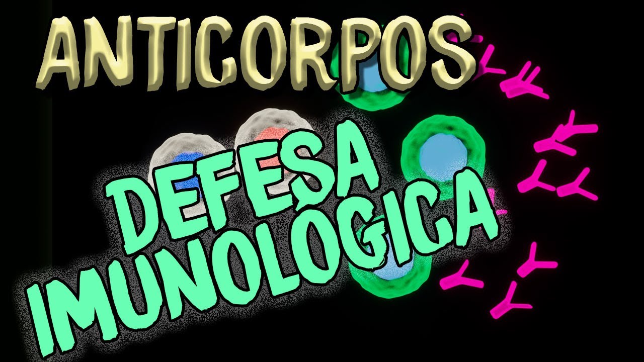 Anticorpos - Proteínas que defendem nosso organismo