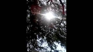 Paz fuera.caos dentro