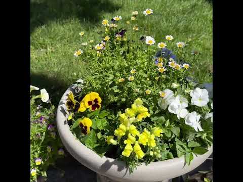 video 1