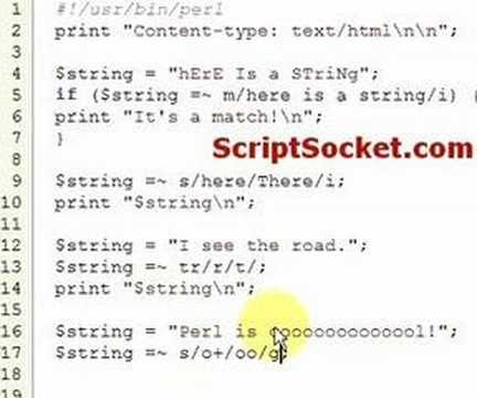 Perl Tutorial 24 - Regular Expressions: Basics