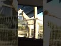 África De Mi Corazón
