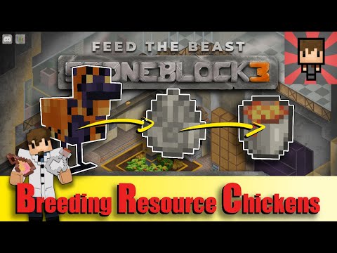 FTB STONEBLOCK 3 - How to Breed Resource Chicken / Lava Chicken EP14