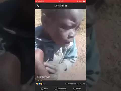 A young boy caught stealing onions at a school farm