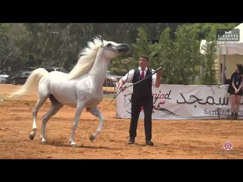 Lebanese AH Championship 2023   Class 9