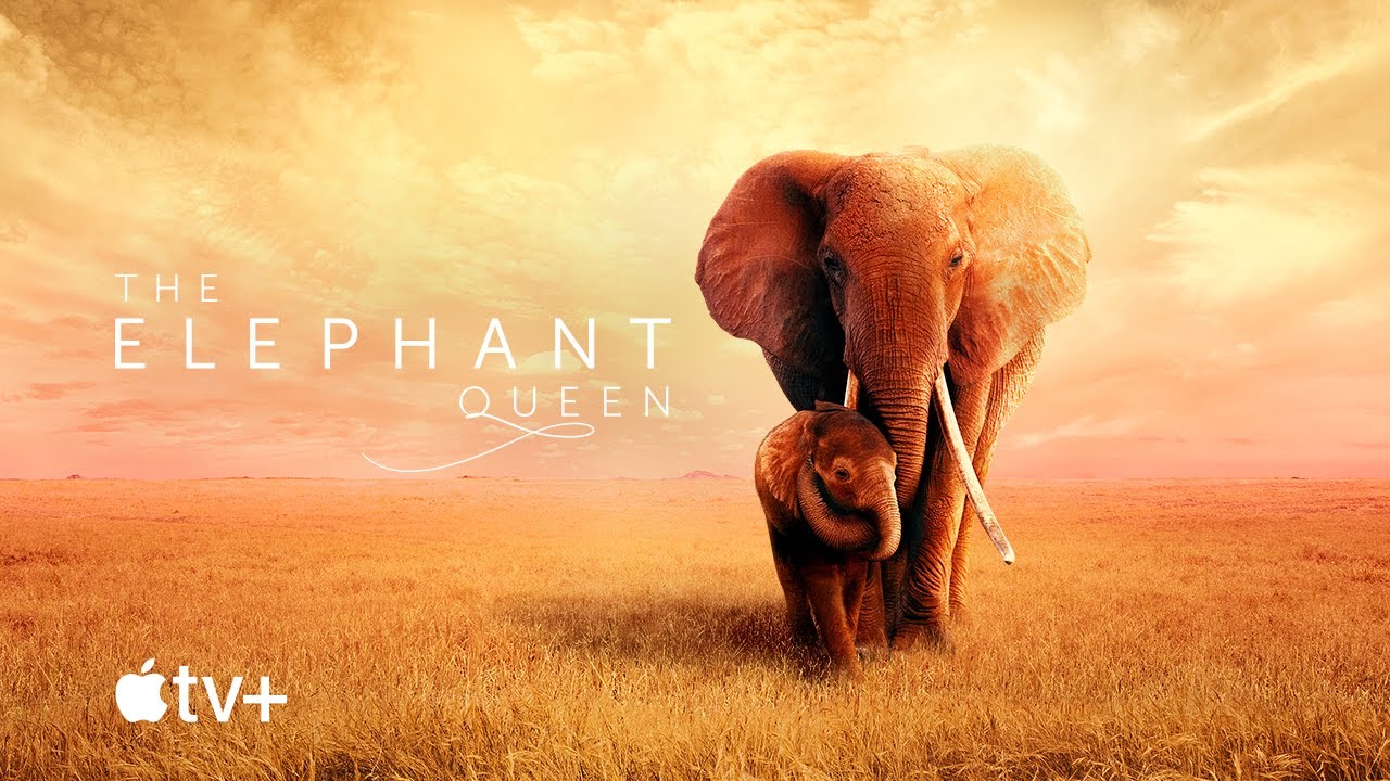 The Elephant Queen â€” Official Movie Trailer | Apple TV+ - YouTube