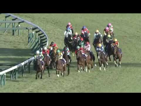 2022.12.11 Hanshin Juvenile Fillies (JPN) - Liberty Island