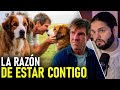 El PROPÓSITO De Los PERROS En Nuestra VIDA La Razón De Estar Contigo Relato Y Reflexiones